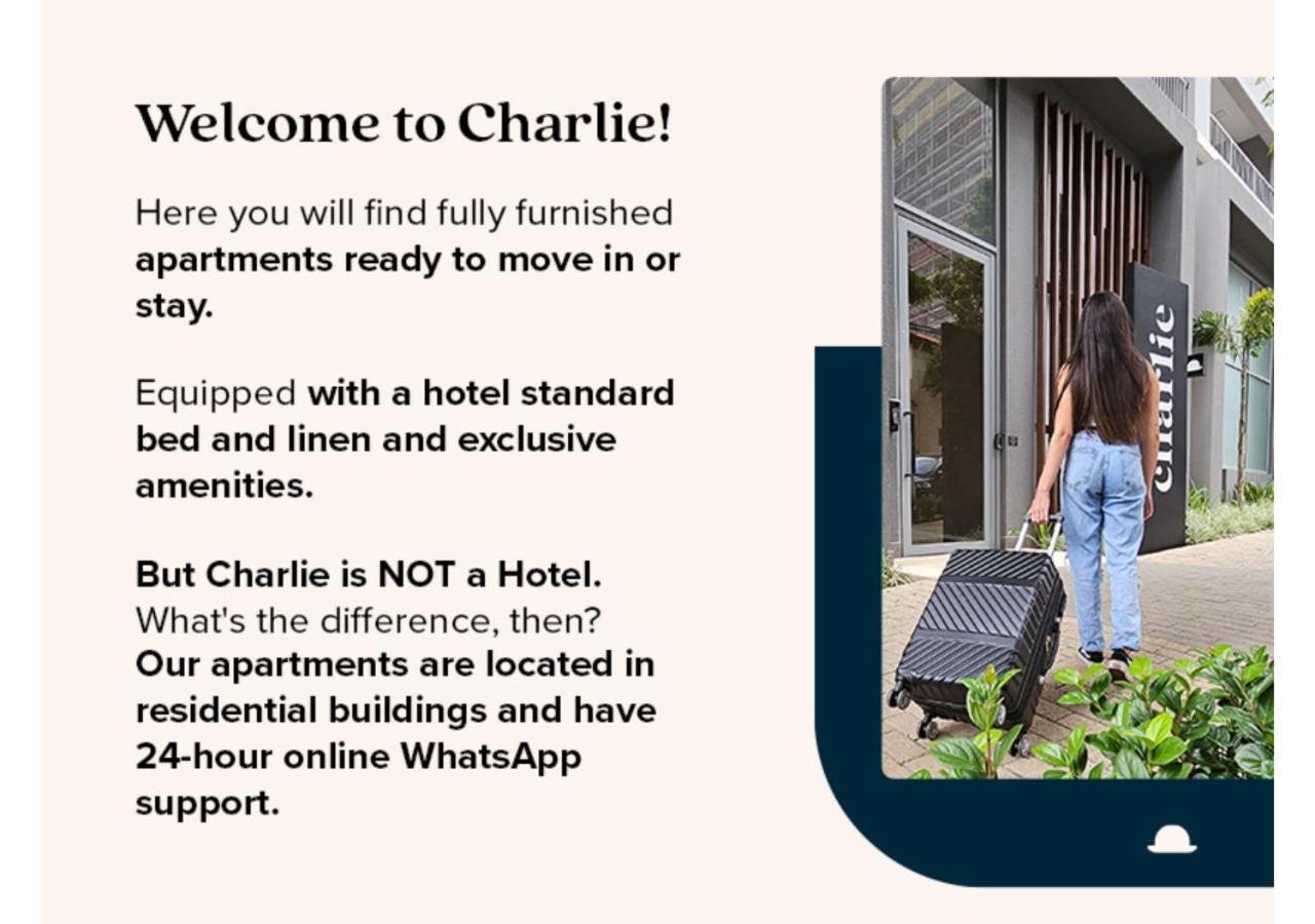 Charlie Houx Pinheiros Apartment Сао Паоло Екстериор снимка